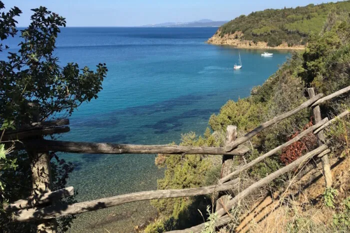 Calaviolina - Holiday Home Arzilli