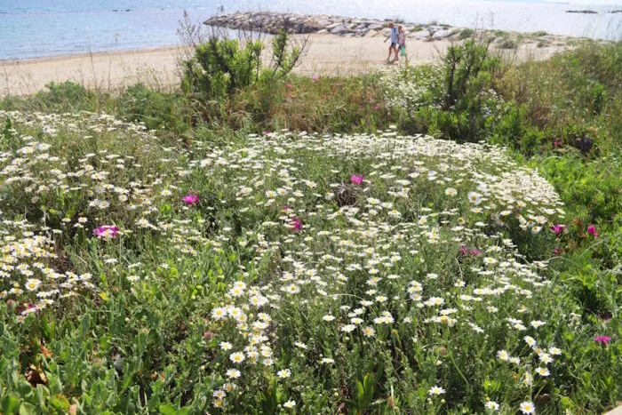 Le dune di Pratoranieri