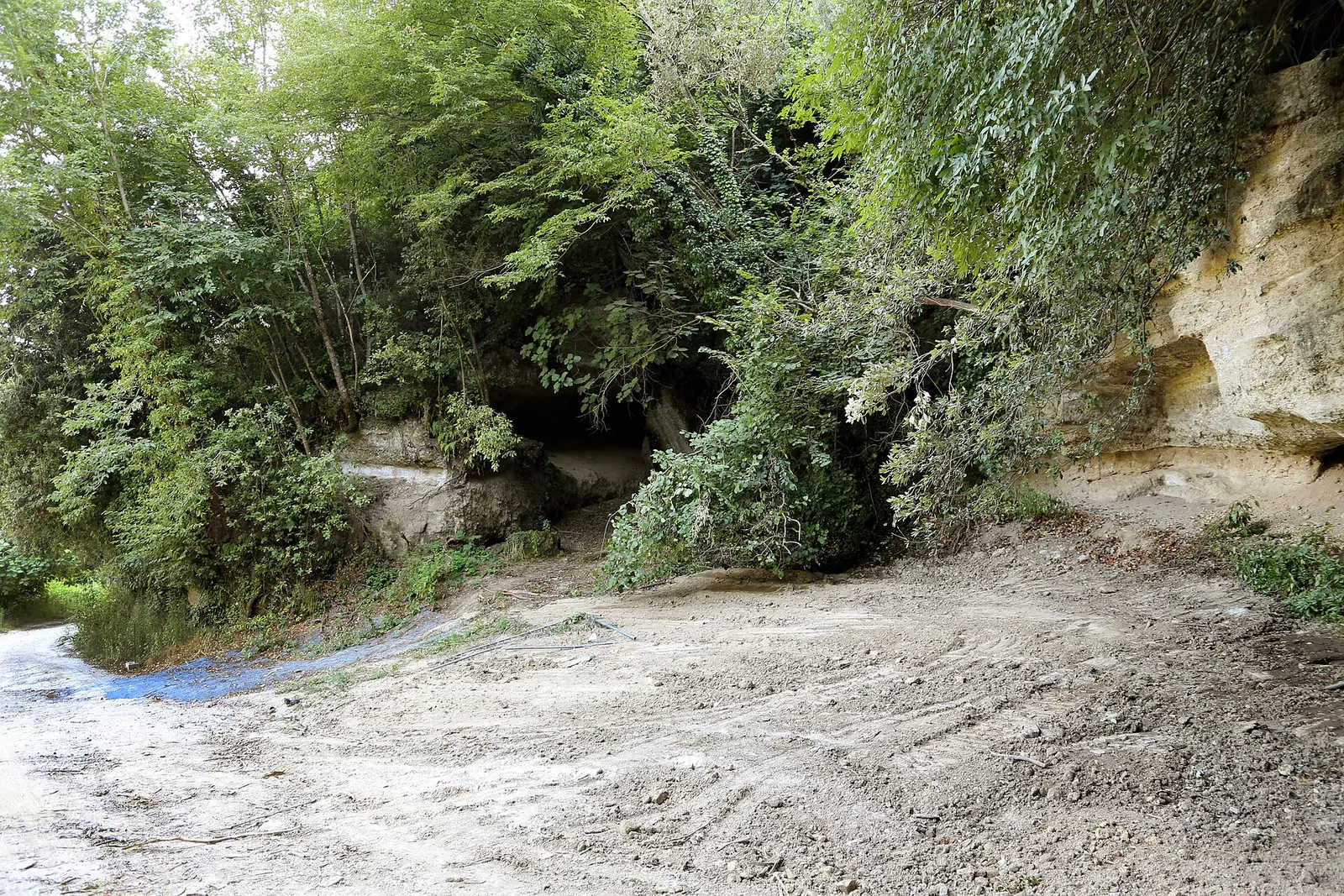 Una via cava etrusca tra alte pareti di tufo coperte di muschio e felci