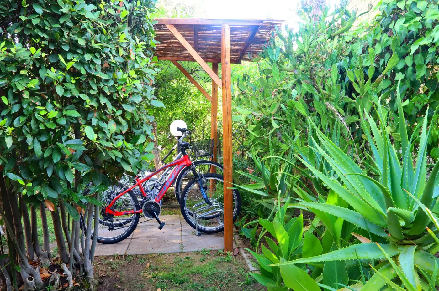 Biciclette riparate nel giardino