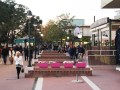 Follonica e dintorni