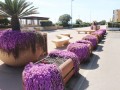 Follonica e dintorni