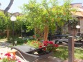 Giardino di Holiday Home Arzilli a Follonica