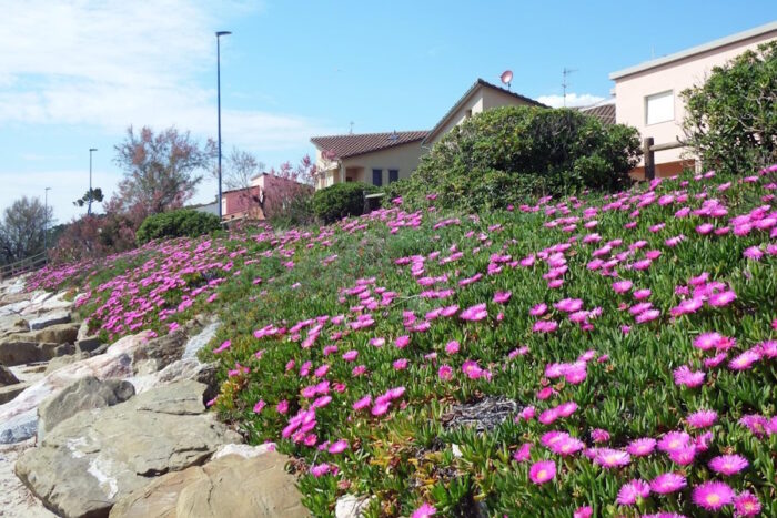 Passeggiando per Follonica